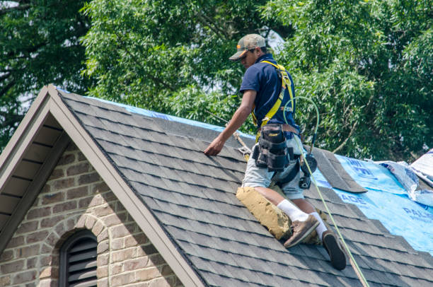 Roof Gutter Cleaning in Stinnett, TX